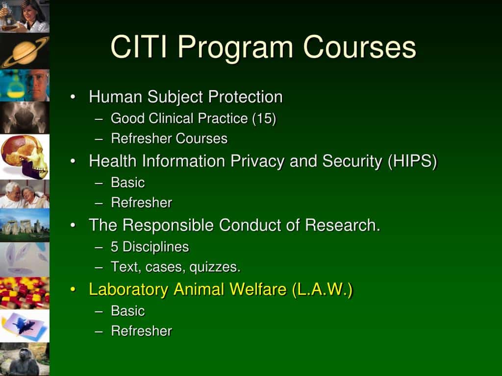 citi training course answers