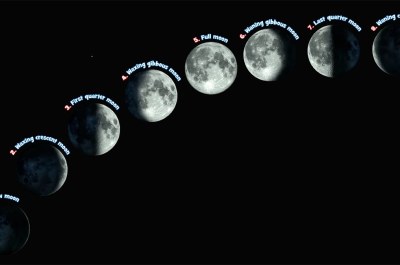 Moon Phases Quiz