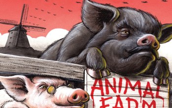 Animal Farm Questions And Answers