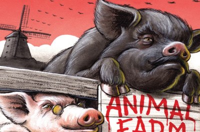 Animal Farm Questions And Answers