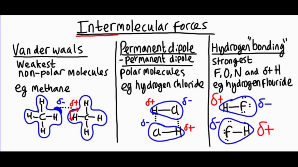 intermolecular forces quiz