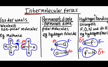 Intermolecular Forces Quiz