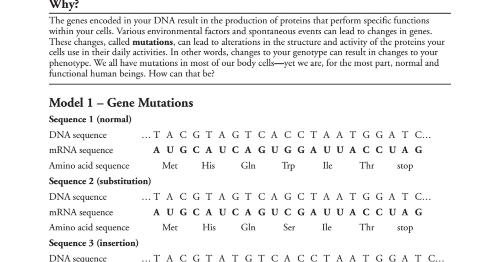 Genetic Mutations Worksheet Answer Key Biology