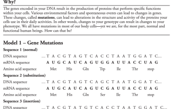 Genetic Mutations POGIL Answer Key