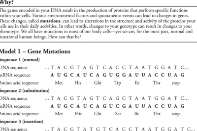 Genetic Mutations POGIL Answer Key
