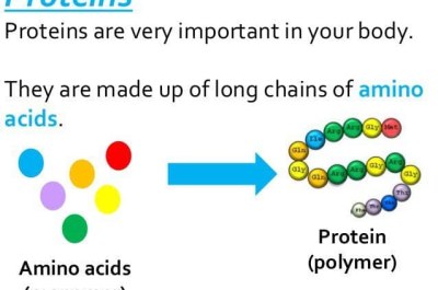 Biology Chapter 3 Proteins Test Answers