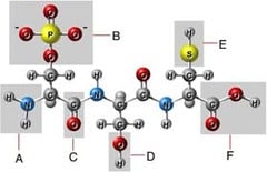 Which of these is a carboxyl group?