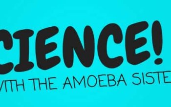 Amoeba Sisters Video Recap Viruses Answer Key