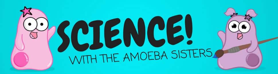 amoeba sisters video recap viruses answer key