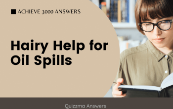 Hairy Help For Oil Spills Achieve 3000 Answers
