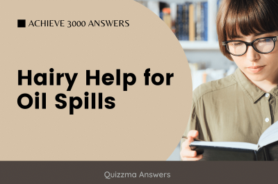 Hairy Help For Oil Spills Achieve 3000 Answers