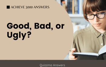 Good, Bad, or Ugly? Achieve 3000 Answers
