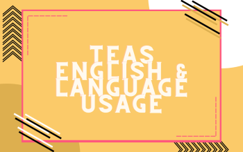 ATI TEAS 7 English & Language Usage Practice Test