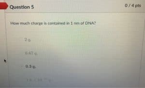 How much charge is contained in 1 nm of DNA
