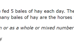 How many bales of hay are the horses fed each day?