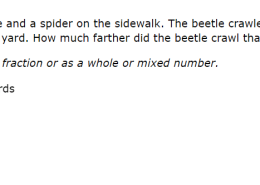 How much farther did the beetle crawl than the spider?