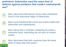 What evidence does the author give to show that prehistoric belemnites used the same kind of defense against predators that modern cephalopods use?