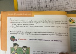 ¿Qué alimentos y bebidas disfrutaron Sara y Gael mientras discutían sobre sus planes de vacaciones?