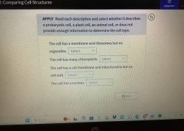 What organelles are present in the cell? Select