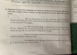 ¿Organicen los tres textos siguientes con números arábigos de tal forma que cada uno sea coherente y lógico. Deben contener una idea introductoria, dos de desarrollo y una de cierre?