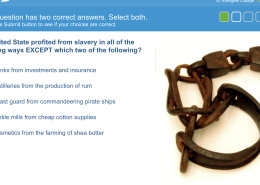 The United States profited from Slavery in all of the following ways EXCEPT which two?