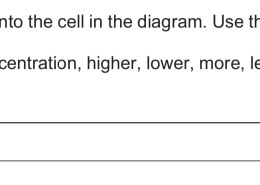 Explain why oxygen will diffuse into the cell in the diagram