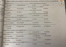 Elijan la palabra que complete el sentido de cada analogía y escríbanla en la línea correspondiente.