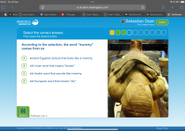 According to the selection, the word “mummy” comes from an