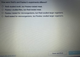 How were Redi’s and Pasteur’s experiments different?