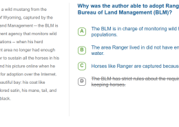 Why was the author able to adopt Ranger from the Bureau of Land Management (BLM)