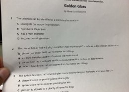 The author describes Ted’s stained-glass course and his design of the fort to emphasize Ted’s determination for planning ideas thoroughly