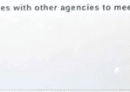 Which member of the Command Staff interfaces with other agencies to meet incident-related information requirements?