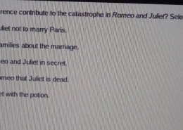 How does Friar Laurence contribute to the catastrophe in Romeo and Juliet?  He marries Romeo and Juliet in secret.  He provides Juliet with the potion.