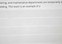 What is the most appropriate term for the team composed of employees from the design, engineering, and maintenance departments who are working together to redesign the front sales entrance at the main building?