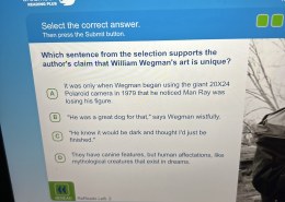 Which sentence from the selection supports the author’s claim that William Wegman’s art is unique?