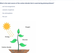 What is the main source of the carbon dioxide that is used during photosynthesis?