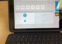 Complete the table to show the area of each circle