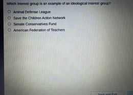 Which interest group is an example of an ideological interest group?