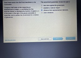 This amendment guarantees citizens the right tobear arms against the government. establish a national religion influence their representatives’ decisions vote in elections