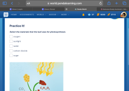 Select the materials that the leaf uses for photosynthesis