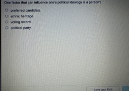 One factor that can influence one’s political ideology is a person’s —ethnic heritage.