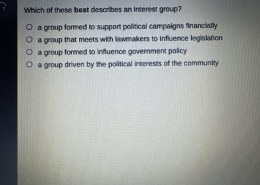 Which of these best describes an interest group?