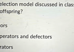 Consider the multi-level selection model discussed in class. What type of group has the highest fitness/ most offspring?