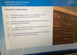 What are the origins of the Bill of Rights and the debates around the rights of individual citizens.