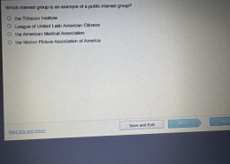 Which interest group is an example of a public interest group?