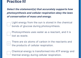 What statements accurately support how photosynthesis and cellular respiration obey the laws of conservation of mass and energy?