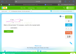 What is the perimeter? If necessary, round to the nearest tenth.