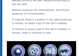 Which of the following is one way that meiosis is different from mitosis?