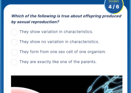 Which of the following is true about offspring produced by sexual reproduction?