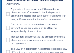 Select the correct statement(s) about independent assortment.